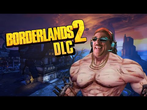 The Borderlands 2 DLCs are insanely fun!