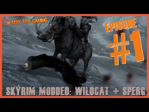 A NEW ADVENTURE BEGINS! Skyrim SE Modded #1 Wildcat + SPERG