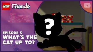 LEGO — What Did the Mischievous Cat Do?! 😺🐾 | S1 E5 | FULL EPISODE | LEGO Friends: Pet Pals