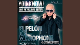 El Pelon Del Mikrophone Chords