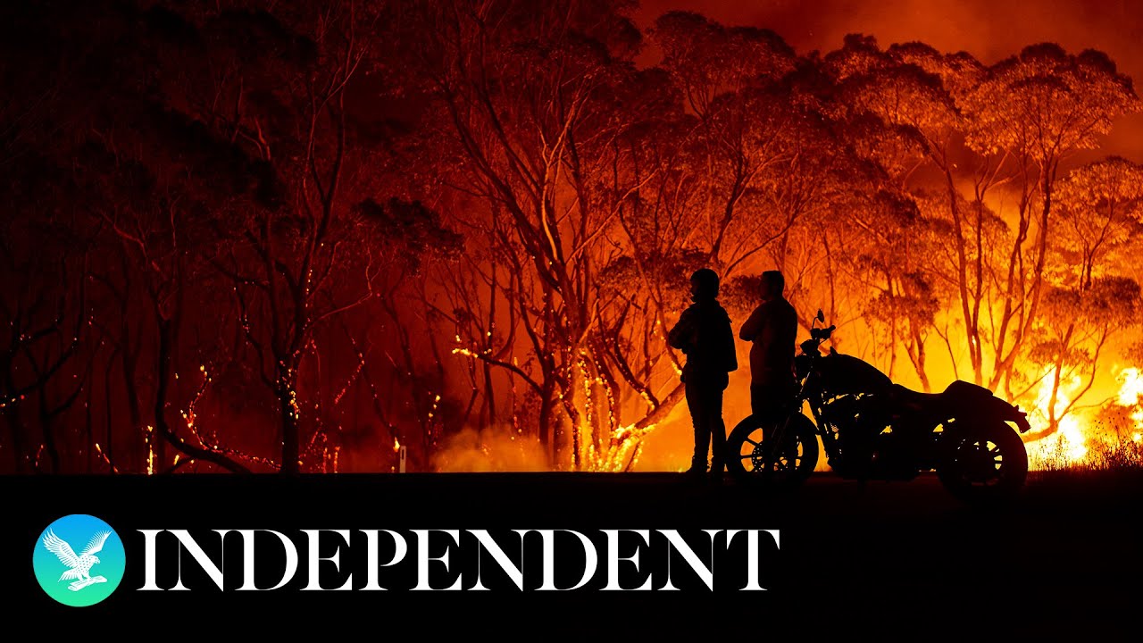 Independent Climate - for the latest news and analysis on the climate crisis
