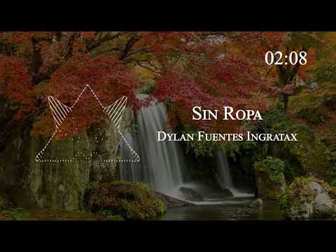 Dylan Fuentes Ingratax - Sin Ropa
