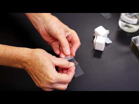 Essential Equipment in Biology - C. Preparing a Wet Mount Slide