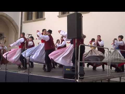 Pořad: ROZMLOUVÁNÍ, č.5/12 - Vrtek z Opavy - V Opavě na rynečku / FF Pardubice 2023