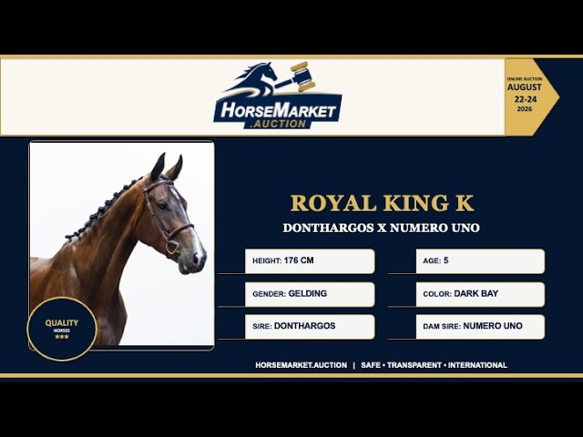 Royal King K