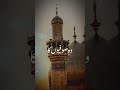 Hussain Mera Hussain Tera Imam Hussain Whatsapp Status Imam Hussain Manqabat