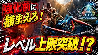【ARK ASA】上限突破個体の最強アラネオ厳選テイム！強化前に確保する！