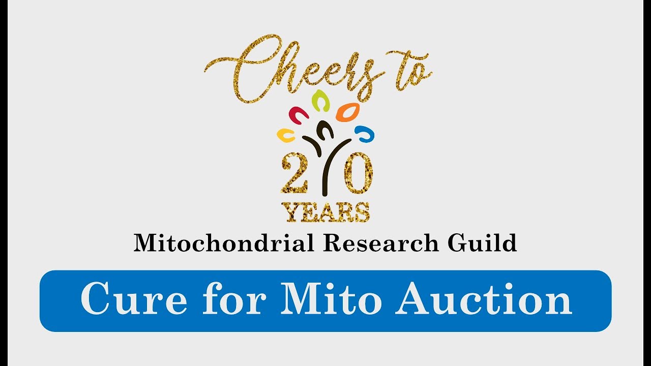 2022 Cure for Mito Auction