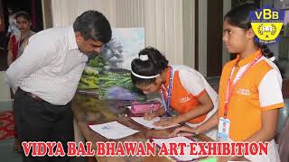 Vidya Bal Bhawan Public School Video