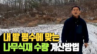 내 밭 평수에 맞는 나무식재 수량 계산방법 | 나무대장