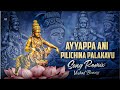 Ayyappa Ani Pilichina Palakavu Full Dj Song Remix Vb Vishal Bunny
