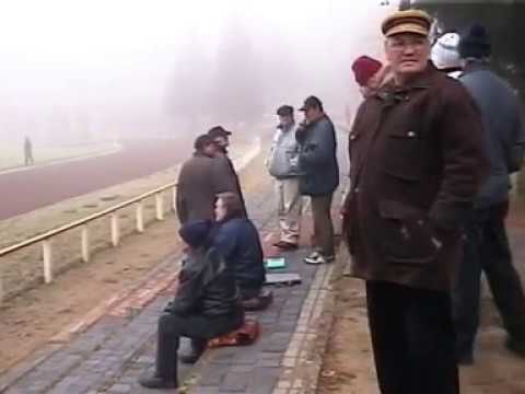 Verbandsliga 2001/2002 - Torgelower SV Greif vs. SV HafenRostock