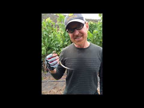 download lagu mp3 mp4 Steve Arrowood, download lagu Steve Arrowood gratis, unduh video klip Steve Arrowood