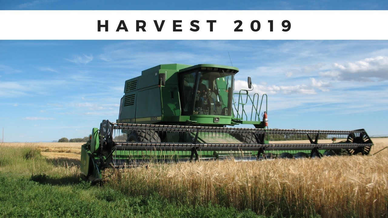 Harvest 2019 thumbnail