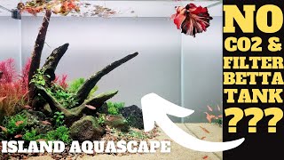 BETTA FISH TANK SETUP - ISLAND AQUASCAPE TANK RESCAPED HALFWAY!