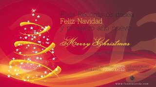 FELIZ NAVIDAD y próspero AÑO NUEVO 2013 (By Krisha)