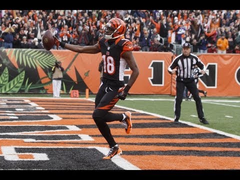A.J. Green- Lose Yourself HD || 2013-2014 Highlights