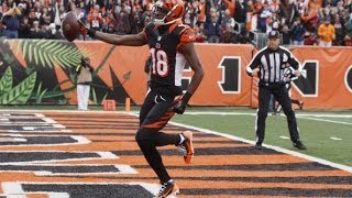 A.J. Green- Lose Yourself HD || 2013-2014 Highlights