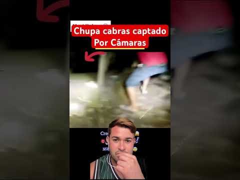 GOAT-SUCKER CAPTURED ON CAMERAS #shorts