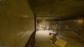 From Rock to Bloom The Life Cycle of a Stone Flower