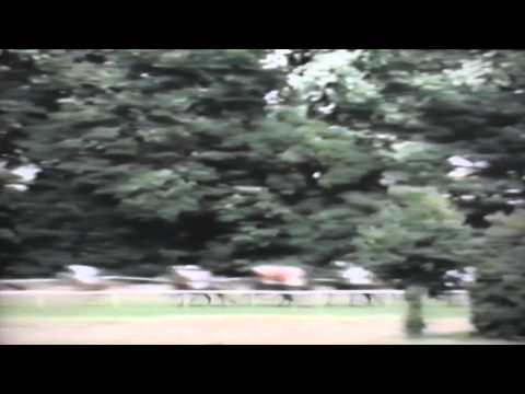 Nagroda Oaks - 2.08.1992 - Kalifornia (Lord Hippo - Kosmitka)