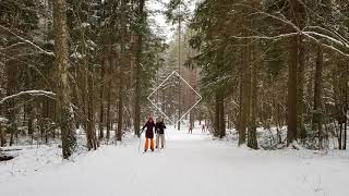 preview picture of video 'A Perfect Winter Day For Crosscountry Skiing In Latvia'