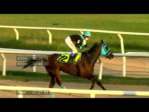 210416 c09 - ES TIMBERO - HIPODROMO LAS PIEDRAS