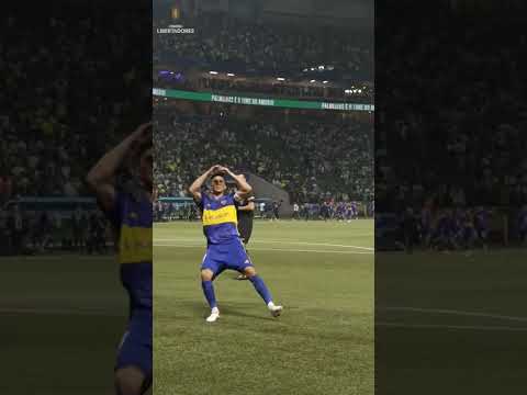 penal de pol Fernández a palmeiras #bocajuniors #copalibertadores