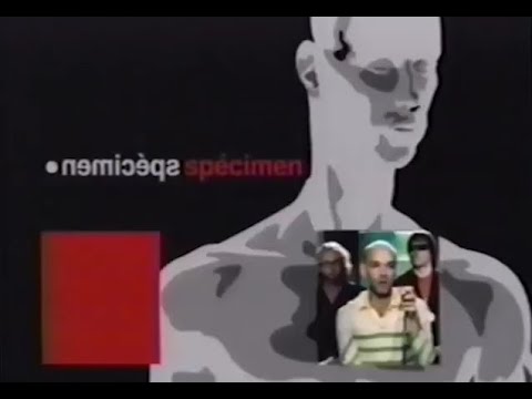 MusiquePlus - Spécimen - R.E.M. (2001)