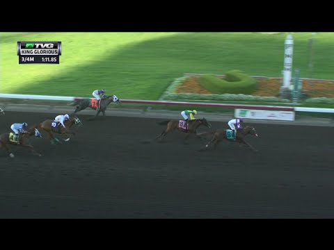 RACE REPLAY: 2015 King Glorious Stakes