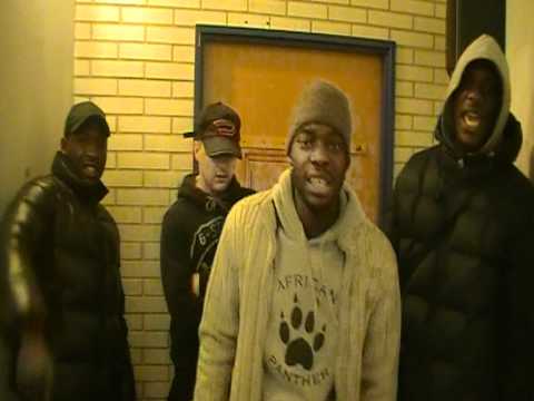 ASSOC 2 MALFRATS FREESTYLE