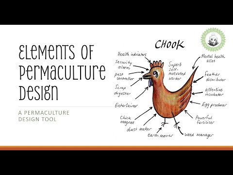Analyzing Permaculture Elements: A Design Essential
