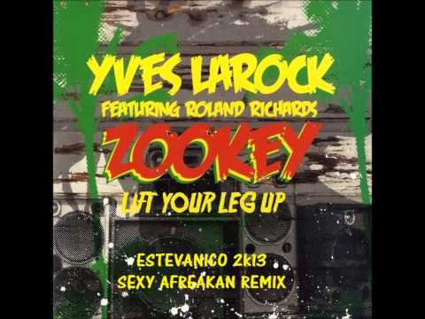 Yves Larock - Zookey (Estevanico 2k13 Sexy Afreakan Remix)