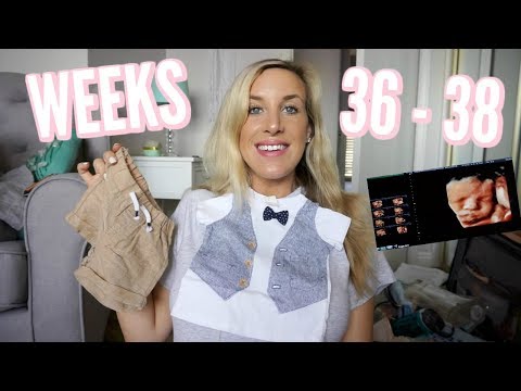 PREPPING FOR BABY VLOG! HAUL, 4D ULTRASOUND & BABY BOOK