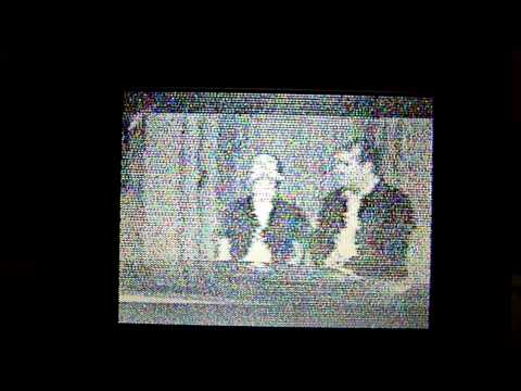 TV-DX 02.06.2010 - BT 1 (Belarus-1) on VHF ch R1 Minsk, BLR via sporadic-e in NW-Germany