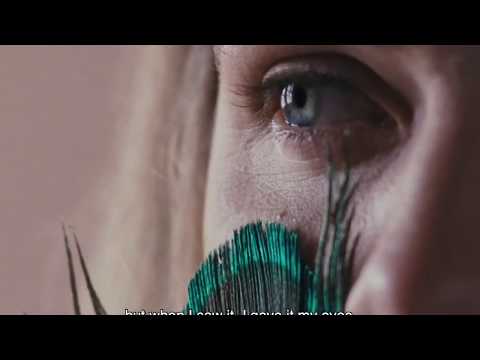 Paukščių metamorfozė | KP+