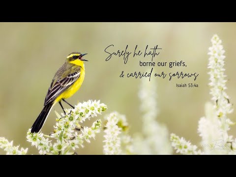 3 Hours of Instrumental Piano Hymns and Songs of Worship