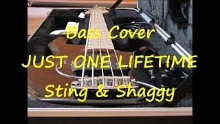Sting &amp; Shaggy - Just One Lifetime (BASS COVER + TABS)