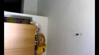 ALEJANDRO SANZ: HOY QUE NO ESTAS