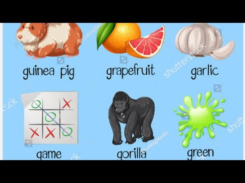 G alphabet using words and sentences #learnenglish #learning #viral #trending #words #kidslearning