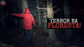 5 Registros Perturbadores e Reais em Florestas Isoladas Capturados em Vídeo!!