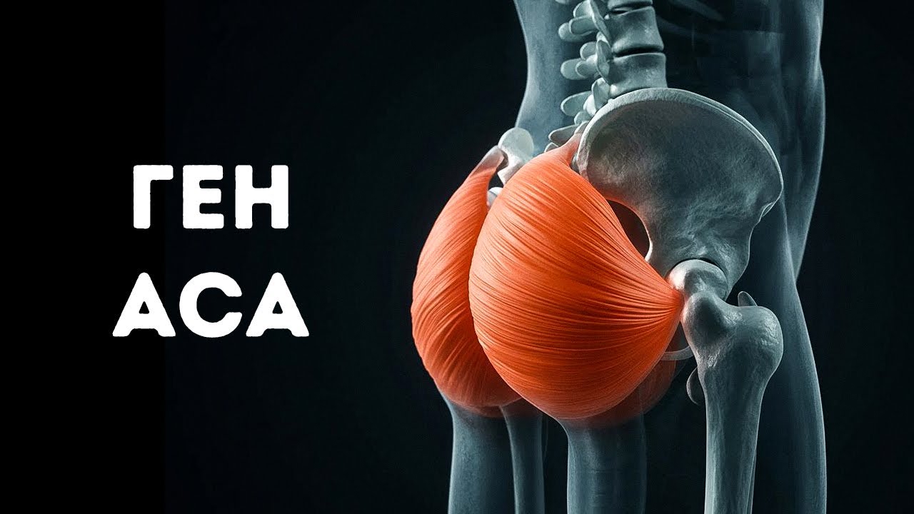 Ваше тело имеет код, о котором вы не знали