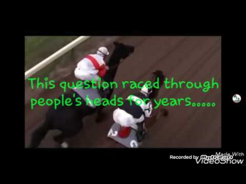 Who would have won the Great Match Race?