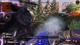 【裏技】草むらに居る見えない敵を倒してしまった【Apex Legends】
