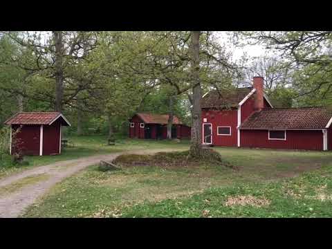 LÖNNAMOHAGEN - Kalleberga - Kallinge - 190519 - Ronneby (BLEKINGE) - iPhone SE