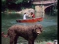 Sesame Street The Picnic Richard Belzer And Brian Doyle Murray 1978