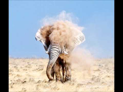 Dub Works - Dubfussi'n and Fighting