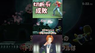 【スマブラSP】VIP潜ってたら煽り？に遭った挙げ句最後は切断されました #テリー #スマブラ