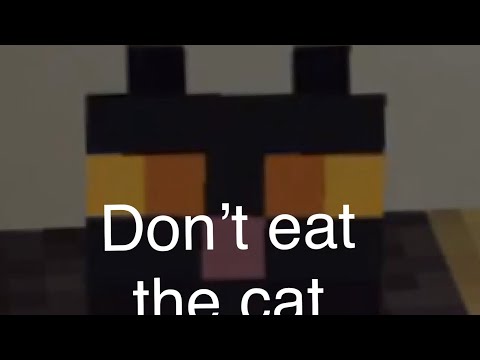 Talking kitty cat in Minecraft-41 don’t eat the cat