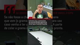 O PALMEIRAS JOGARIA UMA POSSÍVEL FINAL DO PAULISTÃO NO ALLIANZ? #shorts